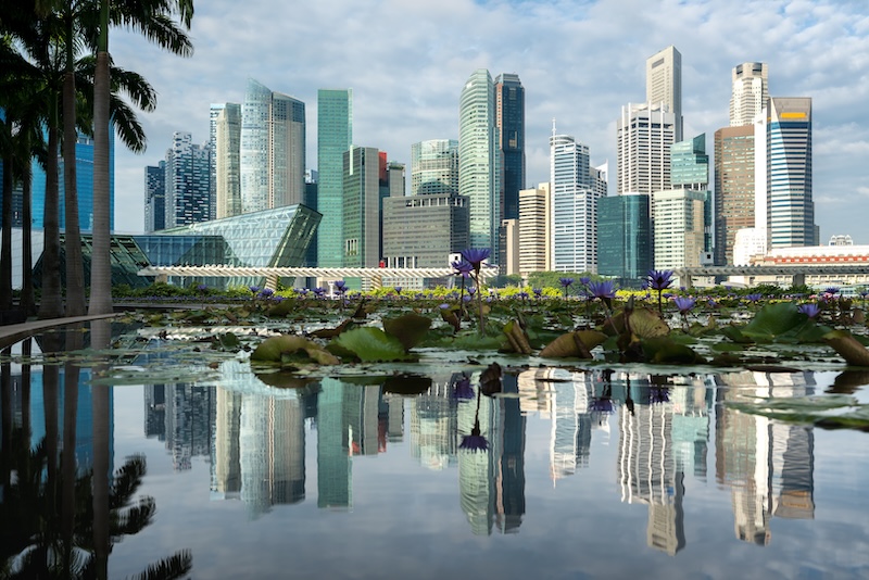 Navigating Business Structures in Singapore